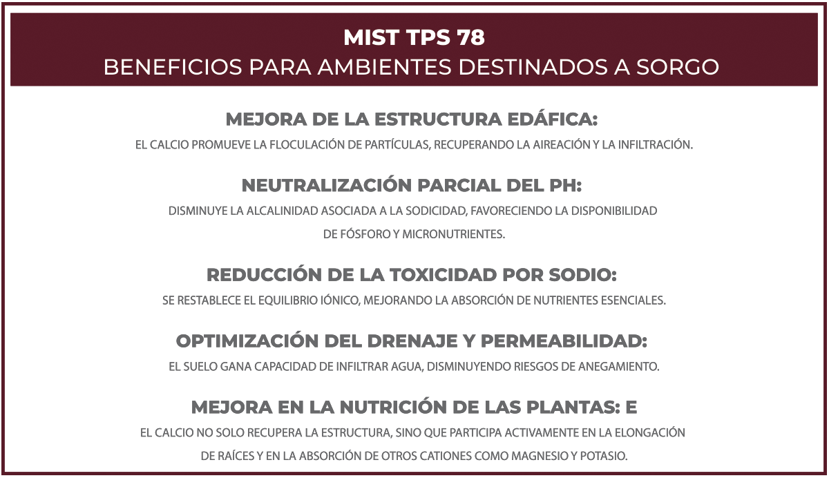 Beneficios TPS78 sorgo